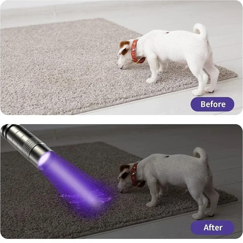 Best UV Black Lights for Detecting Pet Urine: Ultimate Guide for Pet Owners